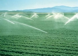 水利部印发通知：各地要加强农业节水，做好春灌工作