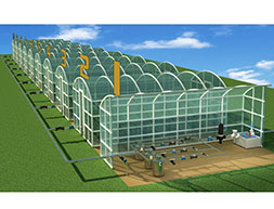 智慧农业:温室大棚番茄水肥一体化解决方案